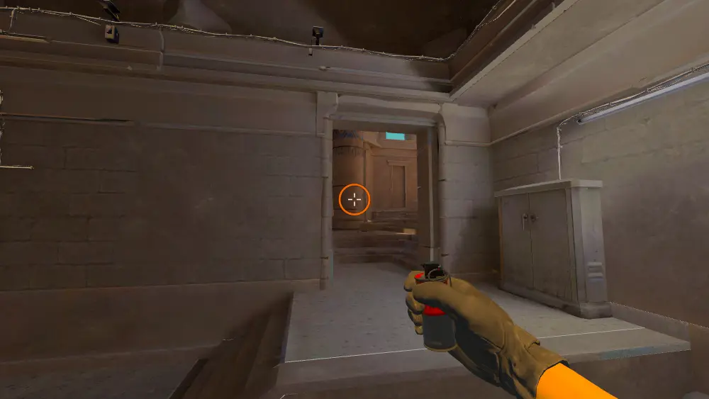 Standing on the Ebox spot on Anubis, the aim mark on the point this molotov is thrown at.